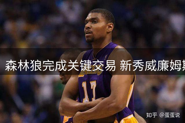 森林狼完成关键交易 新秀威廉姆斯联手爱德华兹