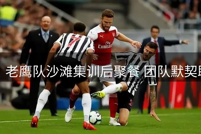 老鹰队沙滩集训后聚餐 团队默契助实力攀升